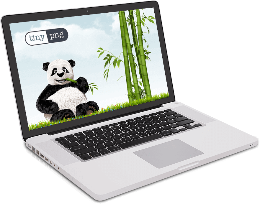 Afbeeldingen optimaliseren WordPress